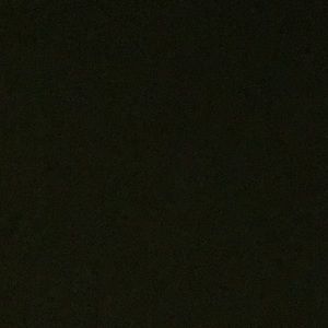 Meet your Posher, Steffon